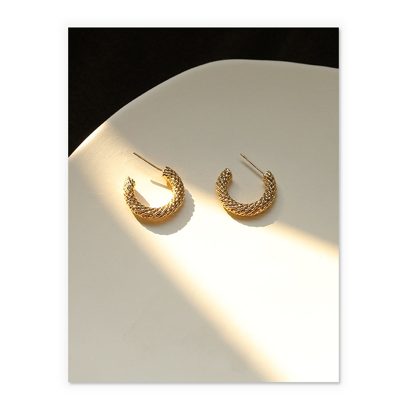 Temperament earrings