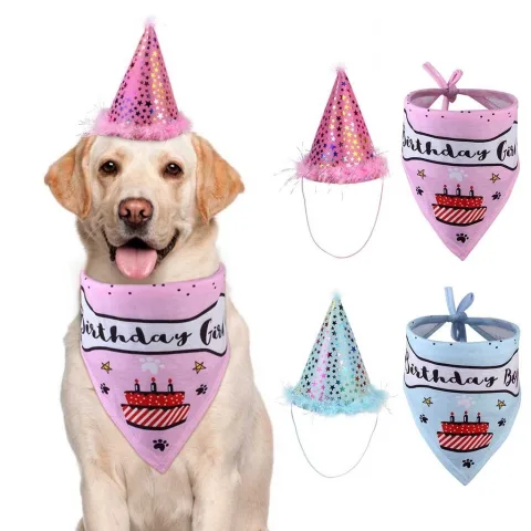 Pet Birthday Party Hat Saliva Towel Set