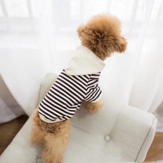 Dog terry sweater Khaki - Shop at LoveMi