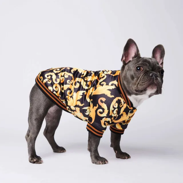 Warm tide brand dog coat Gold - Shop at LoveMi