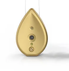 Dog Barking Control Device Gold - Shop at LoveMi
