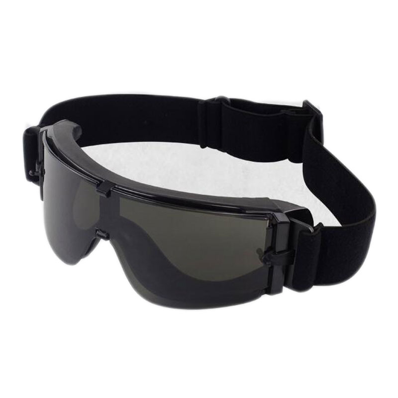 Goggles black