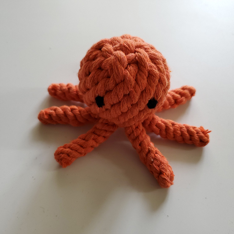 Octopus