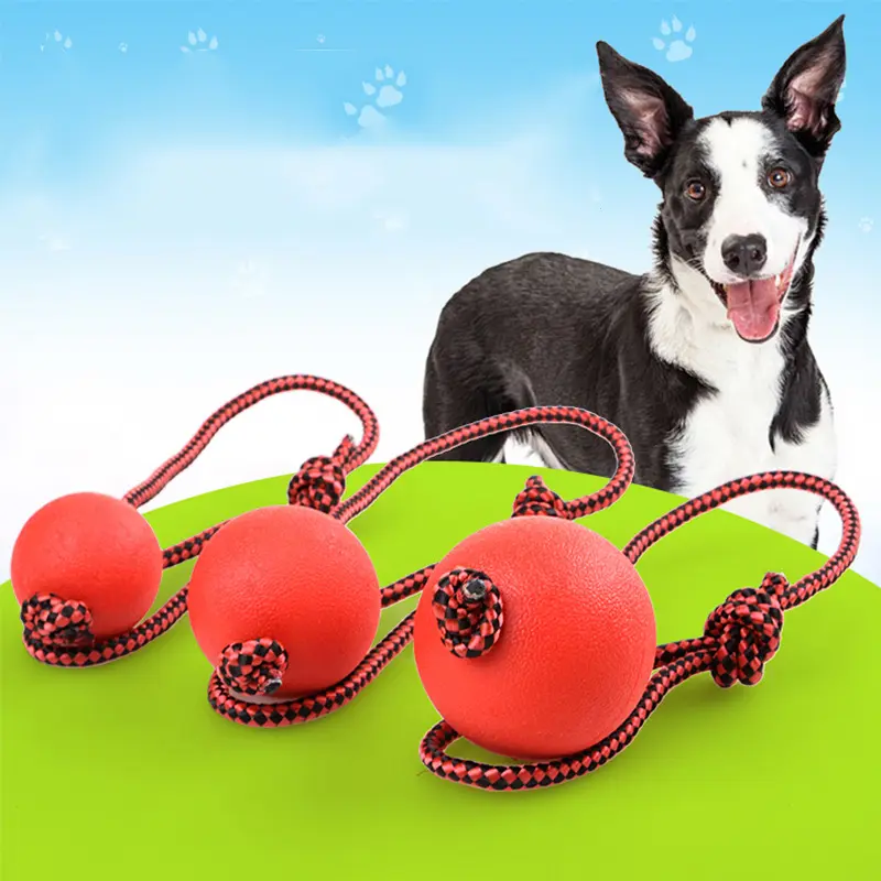Bite resistant rubber ball with rope solid elastic