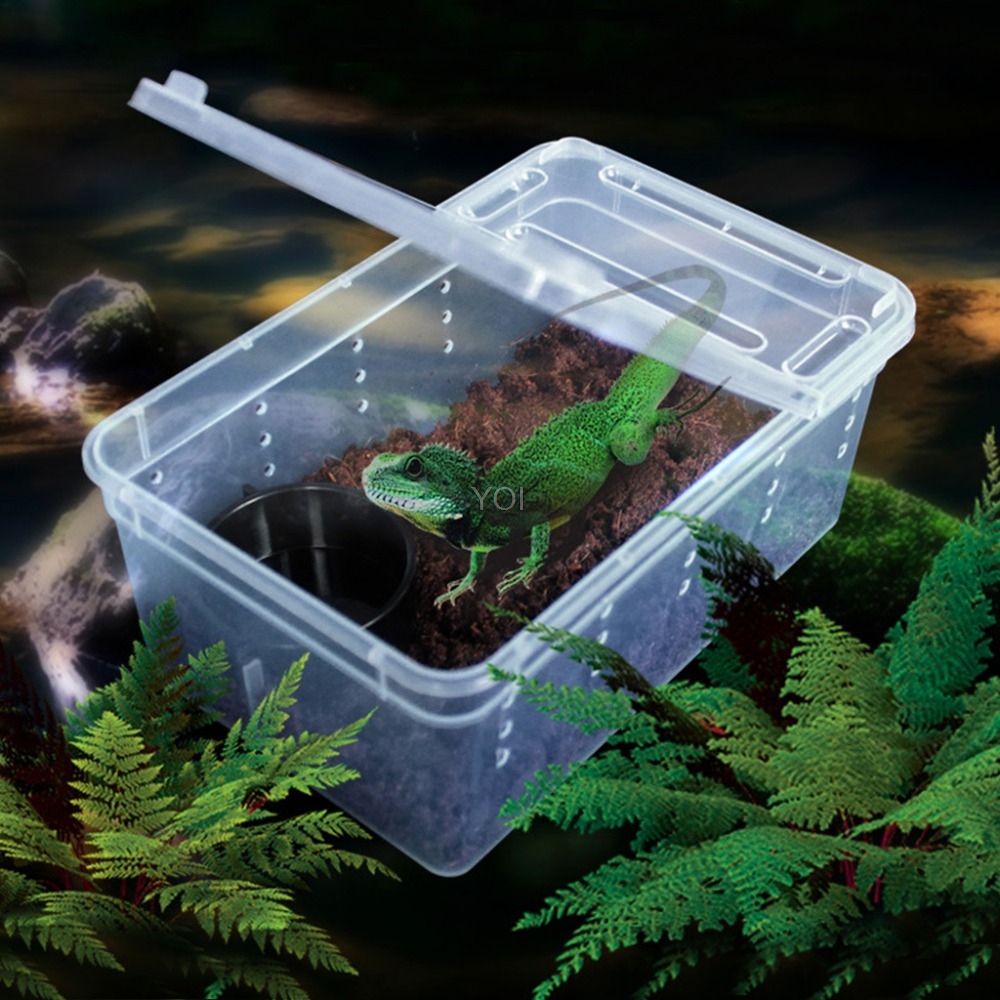 Plastic transparent reptile feeding box 19X12.5X7.5 - Shop at LoveMi