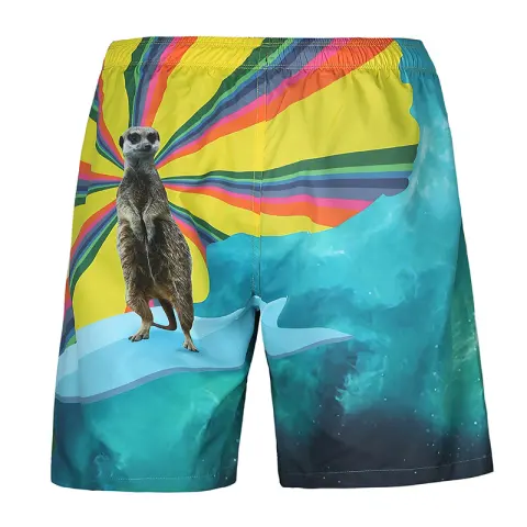 Beach Shorts Printed Mesh Capris