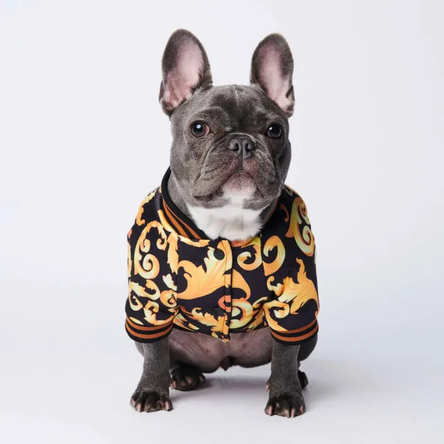 Warm plus cotton tide brand dog coat Default - Shop at LoveMi