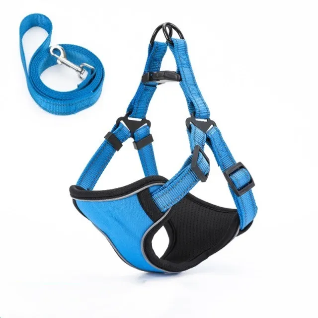 Vest style dog walking rope rope Blue - Shop at LoveMi