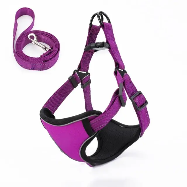 Vest-style dog walking rope