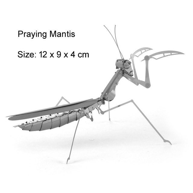 Mantis