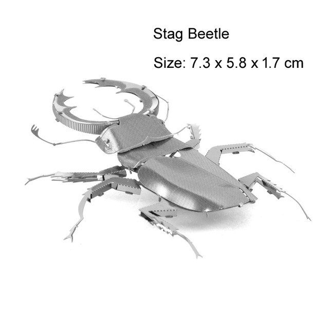 Beetle