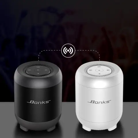 AI Intelligent Artificial Voice Control Small Speaker