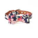Butterfly Collar