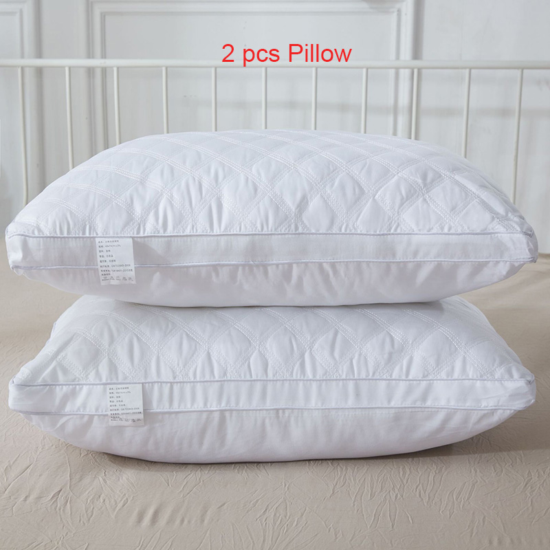 2 pcs pillow