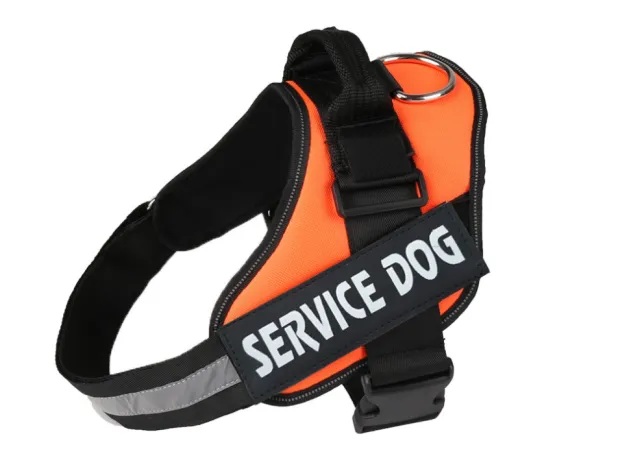 Pet chest strap with dog leash Orange - Shop at LoveMi