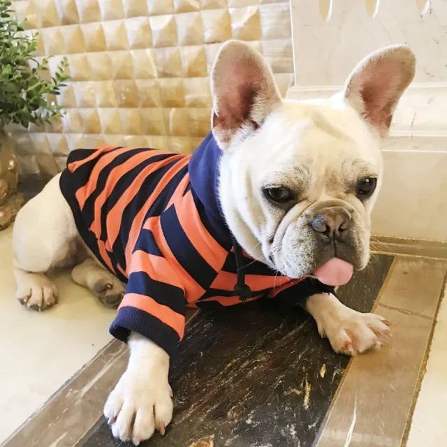 Dog striped hooded casual clothes Orange - Shop at LoveMi