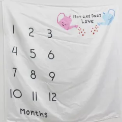 Newborn baby baby photo background cloth - Pink - View 1