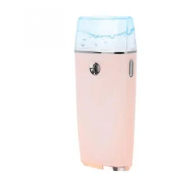 Electric Mini Facial Steaming Machine