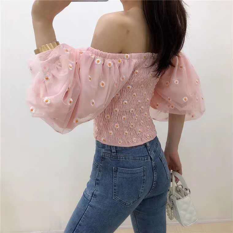 Small Daisy Embroidered Mesh Top