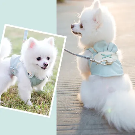 Cute Pet Dog Harness Leash Set Dark Green - Shop at LoveMi