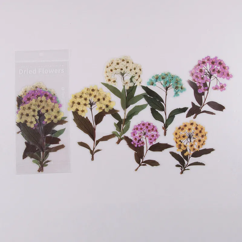 Weekend Flowers Deco Stickers Scrapbooking Styling Bullet Journal Toy Deco Album DIY Stationery Stickers – image 10