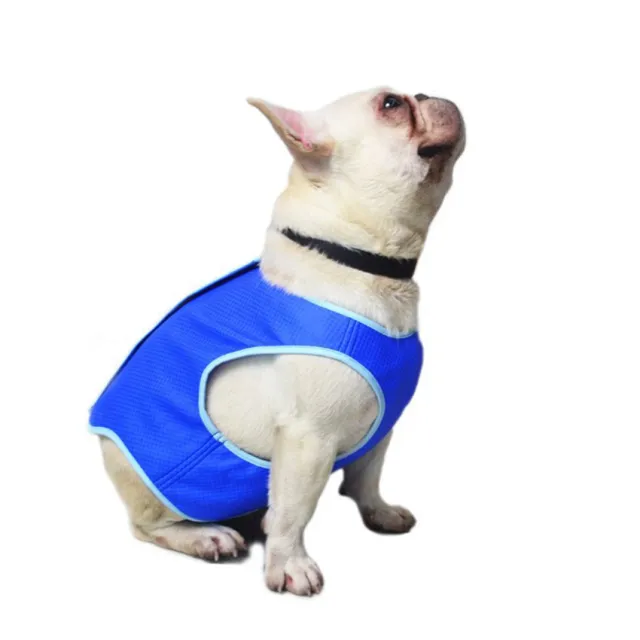 Dog cooling vest Blue - Shop at LoveMi