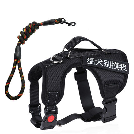 Black with leash