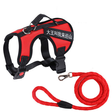 Red heavy leash