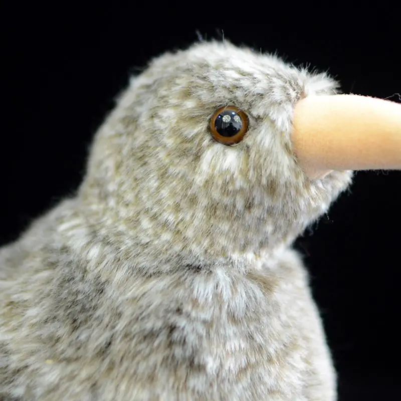 New Zealand kiwi bird plush toy