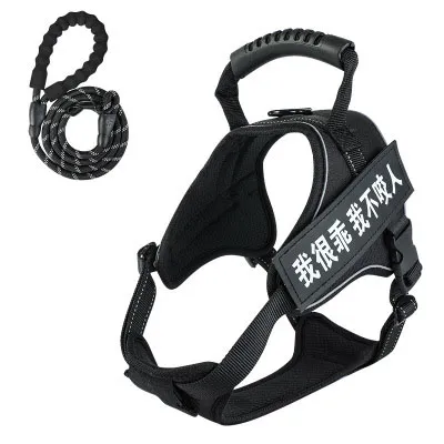 Pet harness with leash - Black