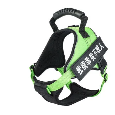 Pet Harness - Green