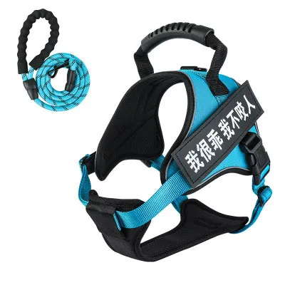 Pet harness with leash - Blue