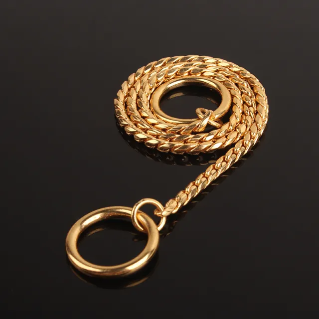 Metal dog collar Gold - Shop at LoveMi
