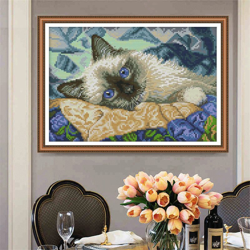 Picture of blue eyed cat