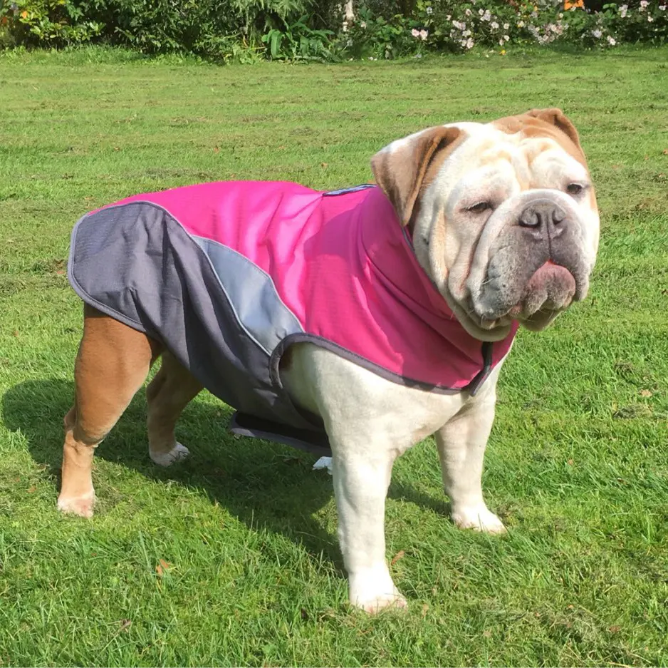 Waterproof Outdoor Poncho for Pets