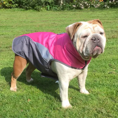 Waterproof Outdoor Poncho for Pets