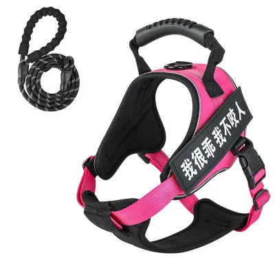 Pet harness with leash - Rose