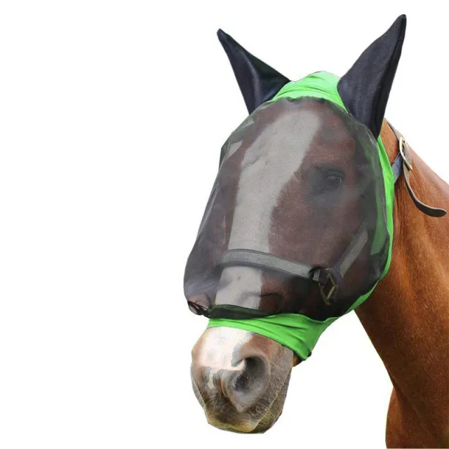 Mosquito proof horse mask in summer Green - Shop at LoveMi