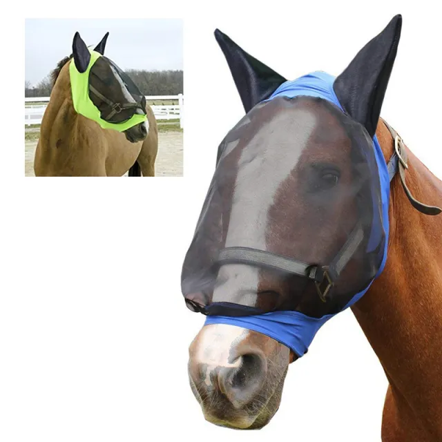 Mosquito proof horse mask in summer Blue - Shop at LoveMi