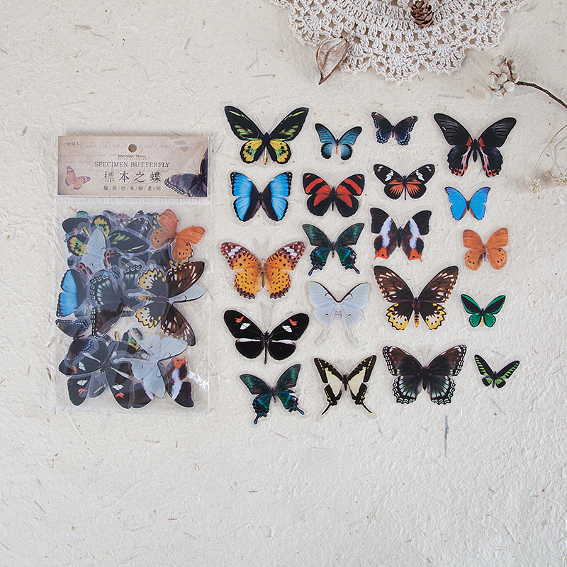 Wing specimen series (4 style)
