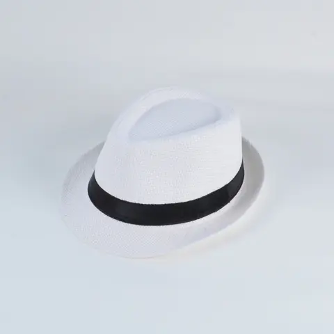 Men's Wild Travel Outdoor Leisure Panama Jazz Hat