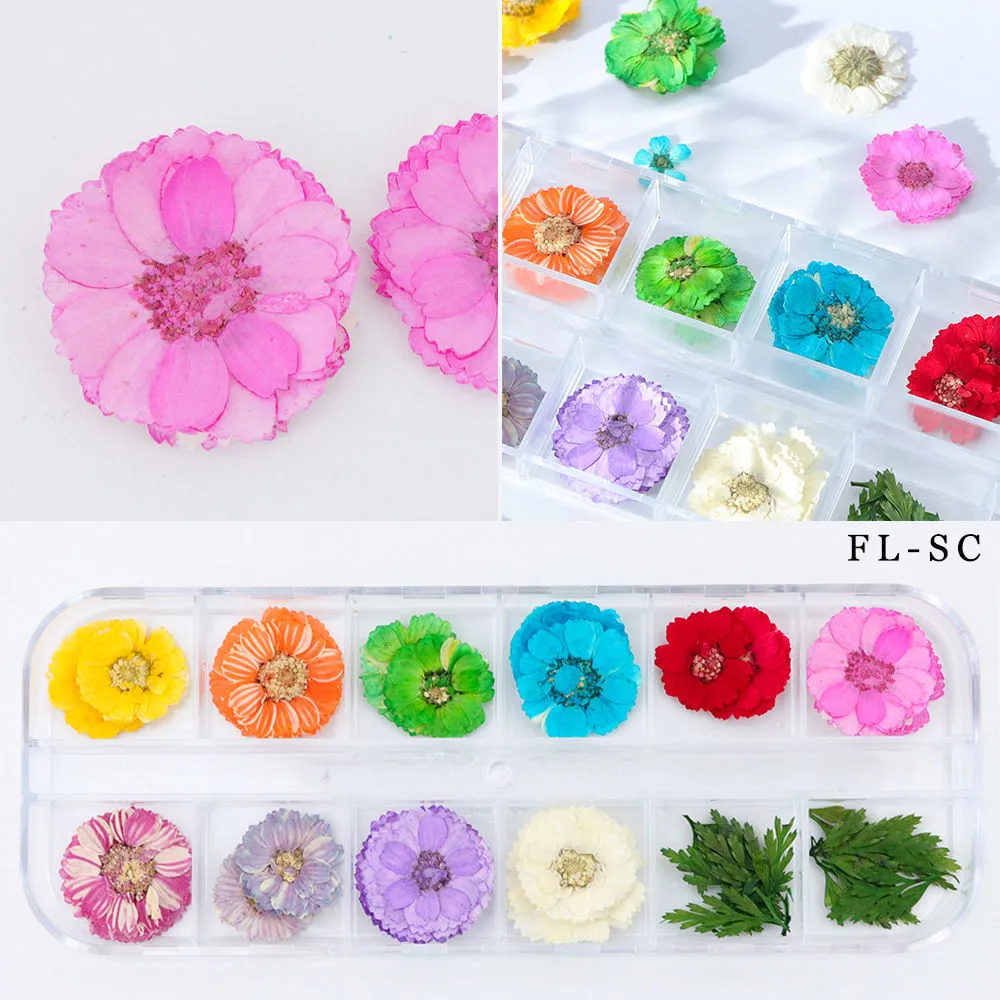 Nail Art Dried Flowers - Fl Sc