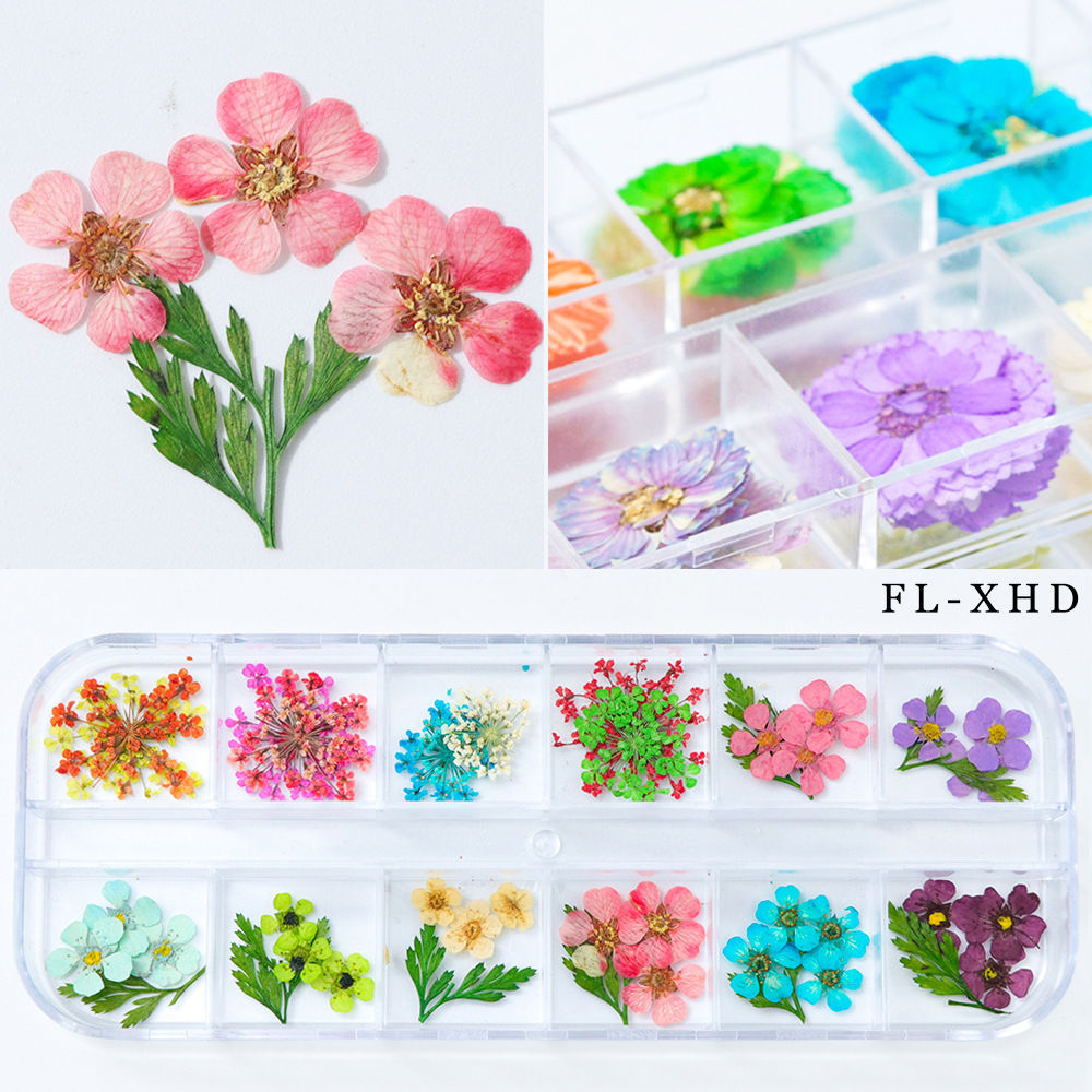 Nail Art Dried Flowers — foto 2