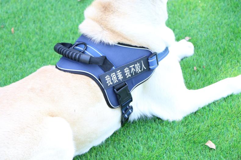 Chest strap vest type medium and large dog leash — view 2