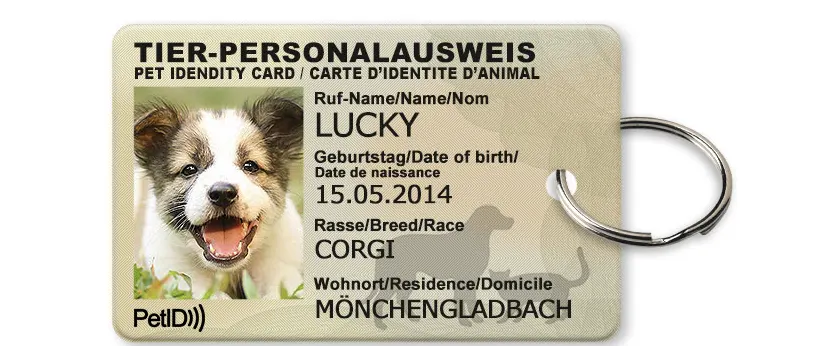 Pet ID Card