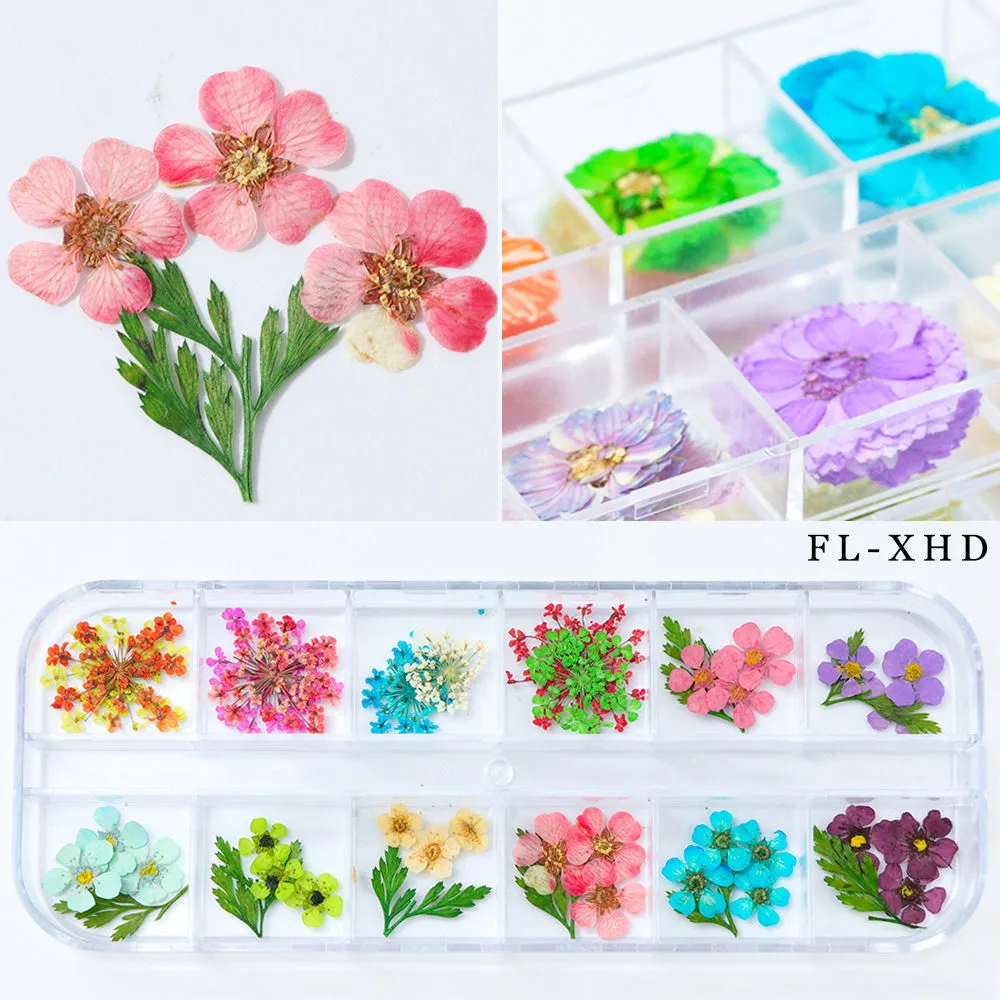 Nail Art Dried Flowers - Fl Xhd