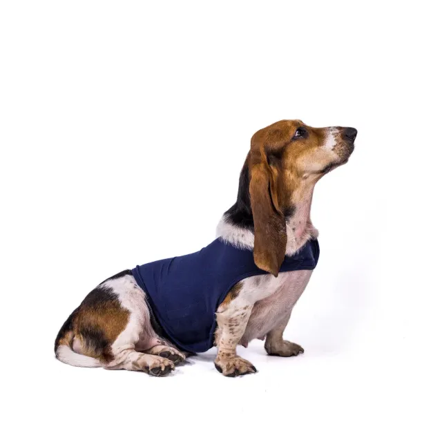 Pet dog anxiety comfort clothing Navy Blue - Shop at LoveMi