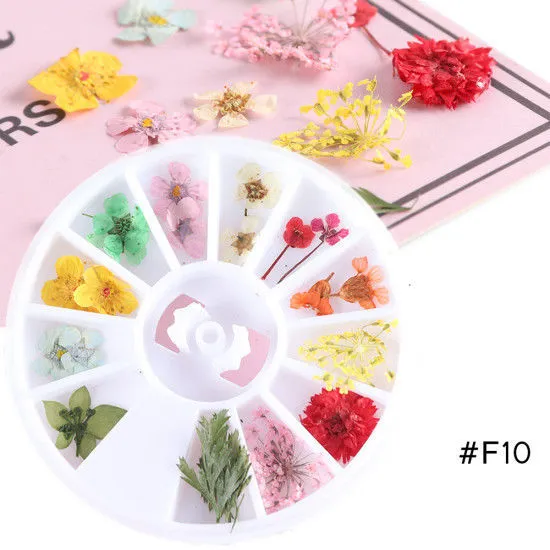Nail Art Dried Flowers F10 - Shop at LoveMi