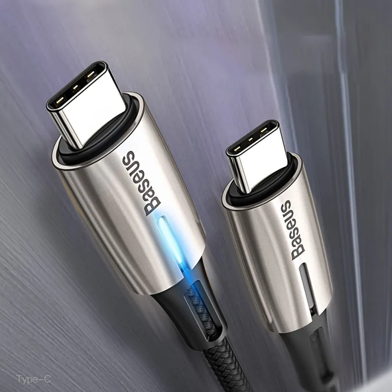 Dual Type-C Data Cable