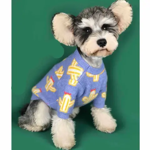 Pet Cactus Sweater